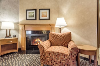 Premium Room, 1 King Bed, Non Smoking, Fireplace