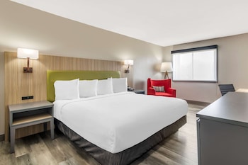 Room, 1 King Bed, Non Smoking