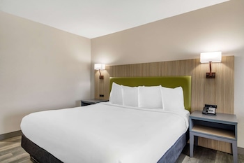 Studio Suite, 1 King Bed with Sofa bed, Non Smoking