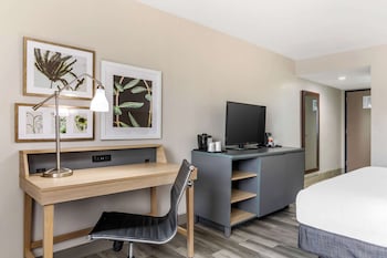 Room, 1 King Bed, Non Smoking