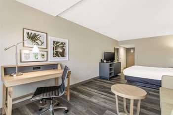 Studio Suite, 1 King Bed with Sofa bed, Non Smoking