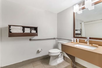 Room, 1 King Bed, Accessible, Non Smoking