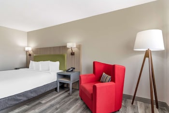 Room, 1 King Bed, Non Smoking