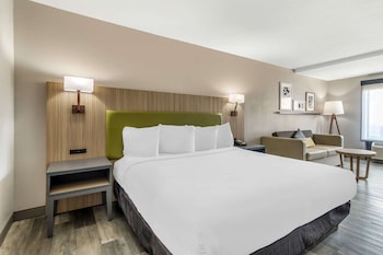 Studio Suite, 1 King Bed with Sofa bed, Non Smoking