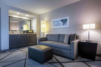 Junior Suite, 1 King Bed, Accessible, Non Smoking (Roll-in Shower)