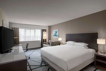 Room, 1 King Bed