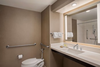 Room, 1 King Bed, Accessible, Non Smoking (Roll-in Shower)