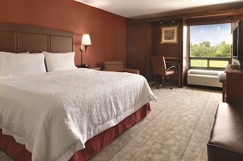 Room, 1 King Bed, Accessible, Non Smoking