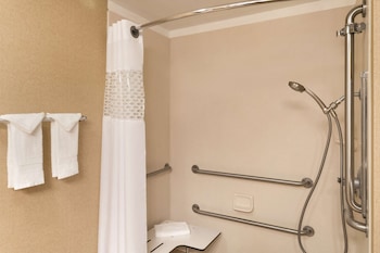 Room, 1 King Bed, Accessible, Non Smoking