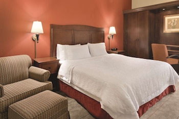 Room, 1 King Bed, Accessible, Non Smoking