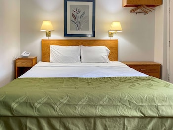 Standard Room, 1 King Bed, Non Smoking