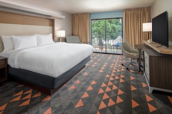 Premium Room, 1 King Bed, River View