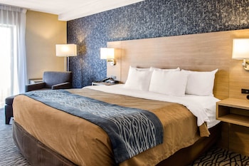 Room, 1 King Bed, Non Smoking (Ground Floor)