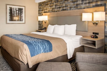 Room, 1 King Bed, Non Smoking (2nd Floor)