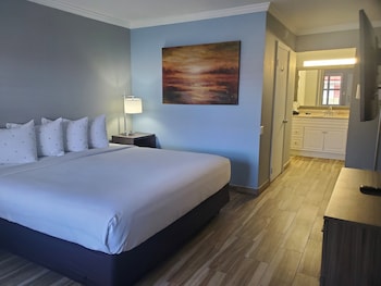 Standard Room, 1 King Bed with Sofa bed