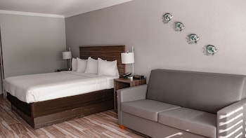 Standard Room, 1 King Bed with Sofa bed