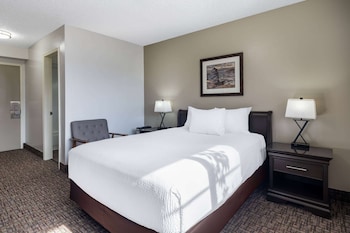 Room, 1 Queen Bed, Non Smoking (Lower Flow)