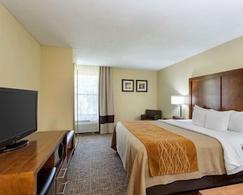 Standard Room, 1 King Bed, Non Smoking