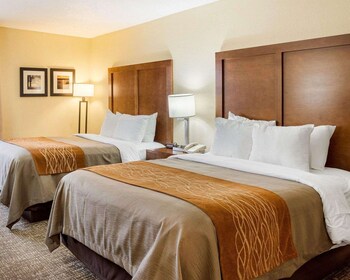 Standard Room, 2 Double Beds, Non Smoking