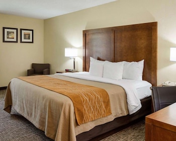 Standard Room, 1 King Bed, Non Smoking