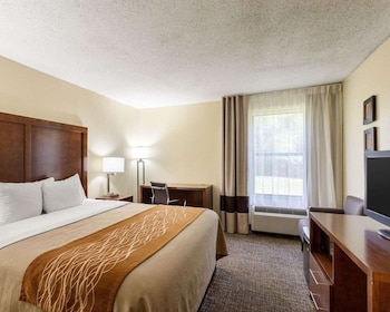 Room, 1 King Bed, Accessible, Non Smoking