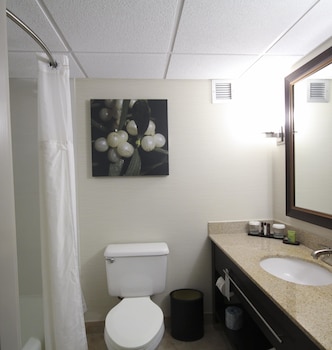 Suite, 1 King Bed