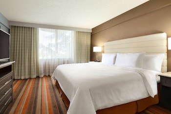 Deluxe Suite, 1 King Bed, Accessible, Non Smoking