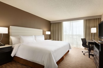 Suite, 1 King Bed