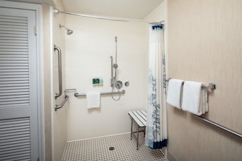 Studio, 1 Queen Bed with Sofa bed (Mobility/Hearing Access, Roll-in Shwr)