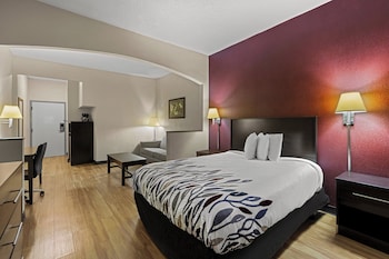Suite, 1 Queen Bed, Accessible, Non Smoking (Roll-In Shower)