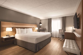 Room, 1 King Bed, Non Smoking