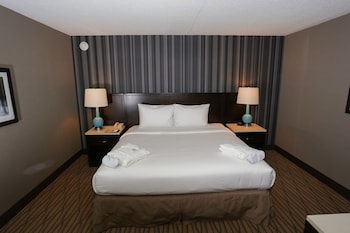 Suite, 1 King Bed, Non Smoking (1 Bedroom)