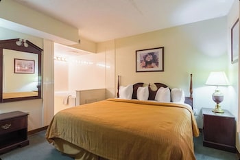 Room, 1 King Bed, Non Smoking