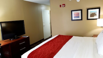 Room, 1 King Bed, Accessible, Non Smoking