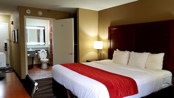 Room, 1 King Bed, Accessible, Non Smoking