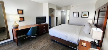 Standard Room, 1 King Bed, Non Smoking