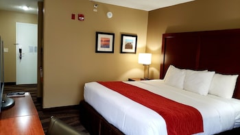 Room, 1 King Bed, Accessible, Non Smoking