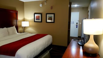 Standard Room, 1 King Bed, Non Smoking (Accessible)