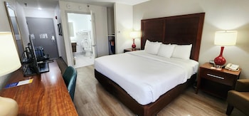 Standard Room, 1 King Bed, Non Smoking (Accessible)