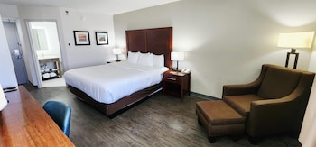 Standard Room, 1 King Bed, Non Smoking