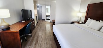 Standard Room, 1 King Bed with Sofa bed, Non Smoking