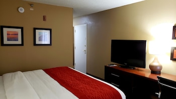 Standard Room, 1 King Bed, Non Smoking (Accessible)