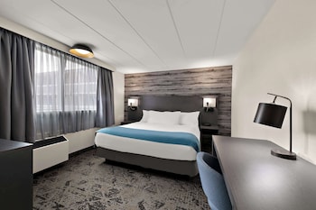 Standard Room, 1 King Bed, Non Smoking, Refrigerator & Microwave (Walk-in Shower)