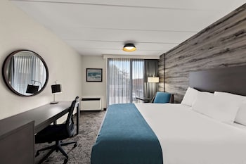 Standard Room, 1 King Bed, Accessible, Refrigerator & Microwave