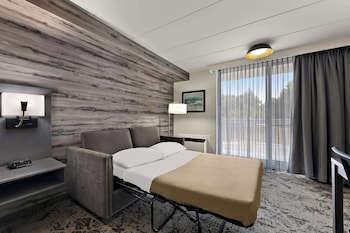 Standard Room, 1 King Bed, Non Smoking, Balcony (Walk-in Shower;with Single Sofabed)