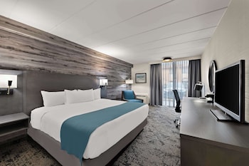 Standard Room, 1 King Bed, Accessible, Refrigerator & Microwave