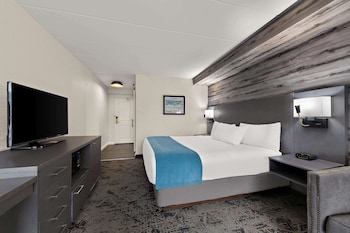 Standard Room, 1 King Bed, Non Smoking, Balcony (Walk-in Shower;with Single Sofabed)