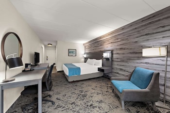 Standard Room, 1 King Bed, Accessible, Refrigerator & Microwave