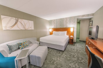 Room, 1 King Bed with Sofa bed, Hearing Accessible