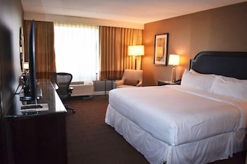 Room, 1 King Bed (Mobility/Hearing Access, Roll-In Shwr)